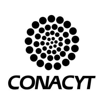 grupo siap clientes 2